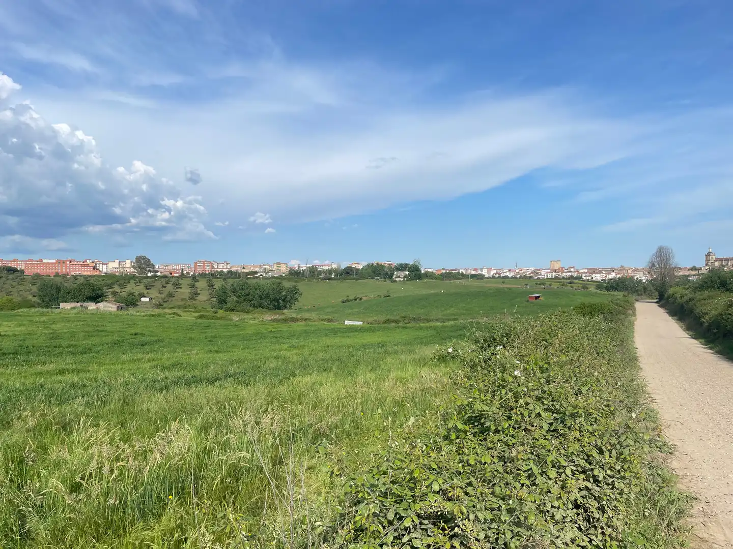 Terreni e lotti in vendita a Coria, imagen 6
