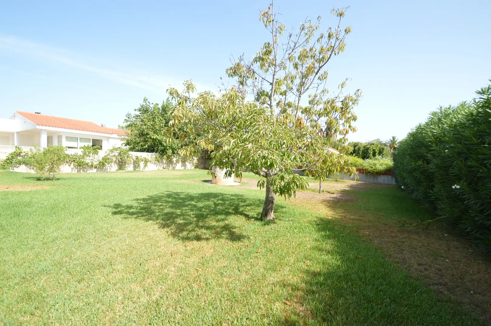 Garden of Houses for sale in Vinaròs  with Private garden, Terrace and Swimming Pool