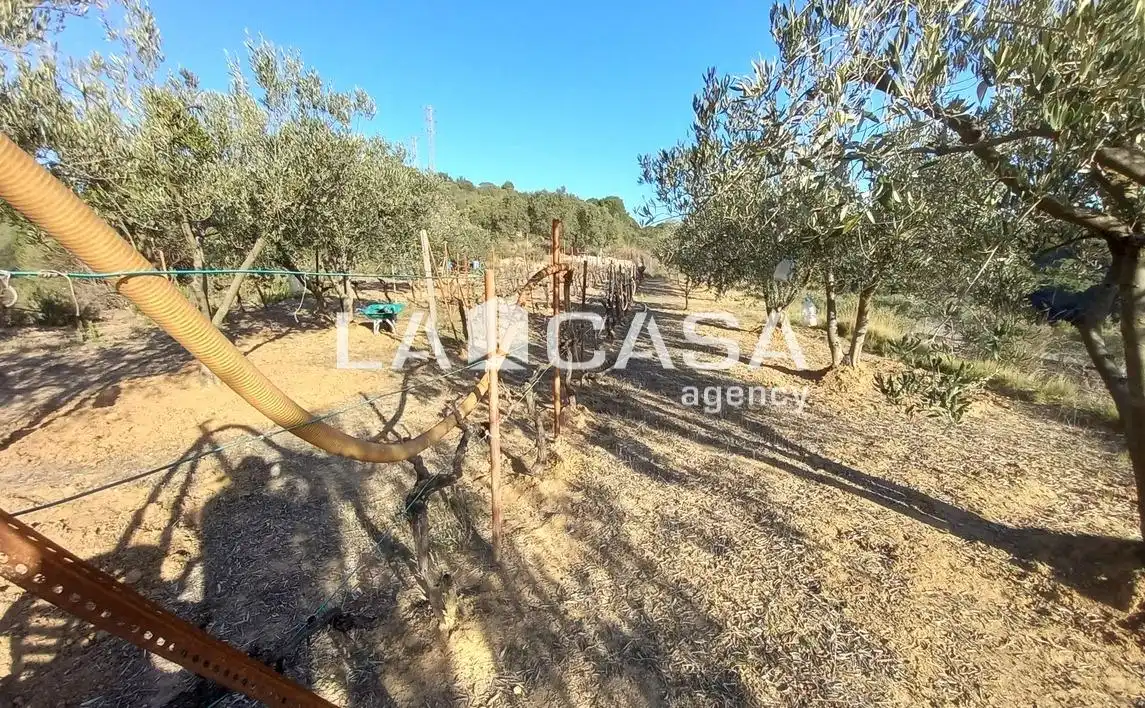 Terreno rustico in vendita a Zona Industrial, imagen 9