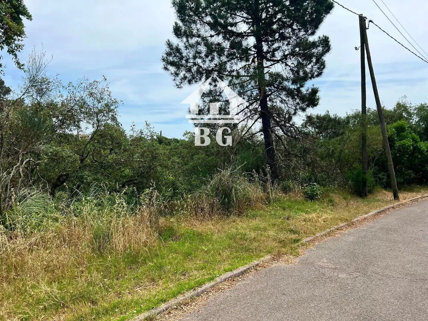Terreno rústico en venta en Baix Ebre, imagen 12