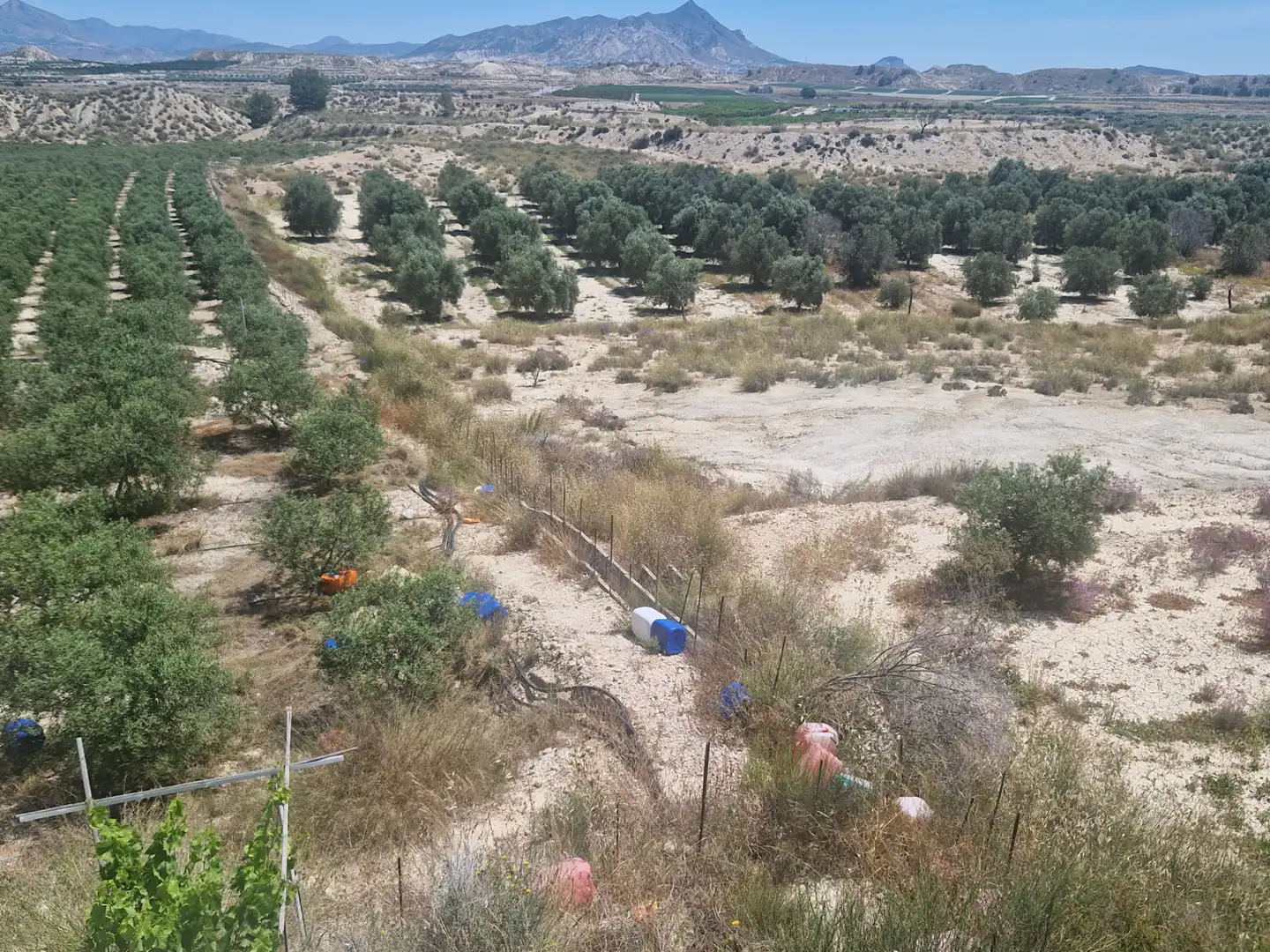 Rural land for sale in RM-A7 119, imagen 3