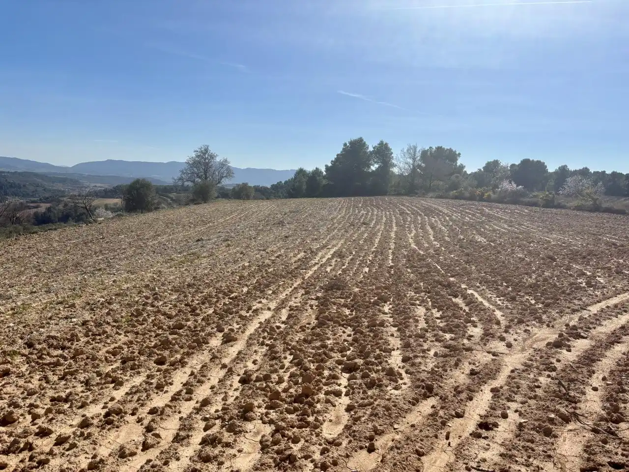 Terreno en venta en Solivella