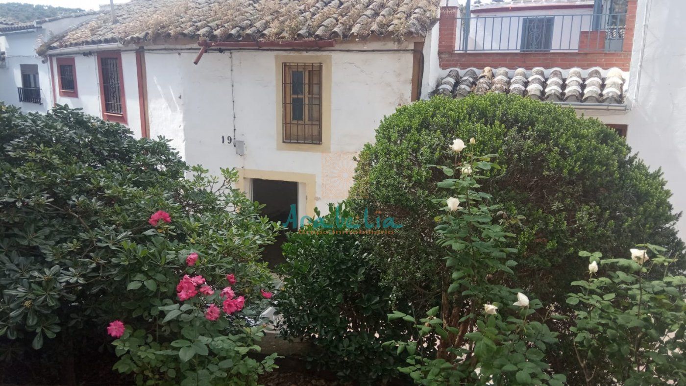 Garden of House or chalet for sale in Montoro
