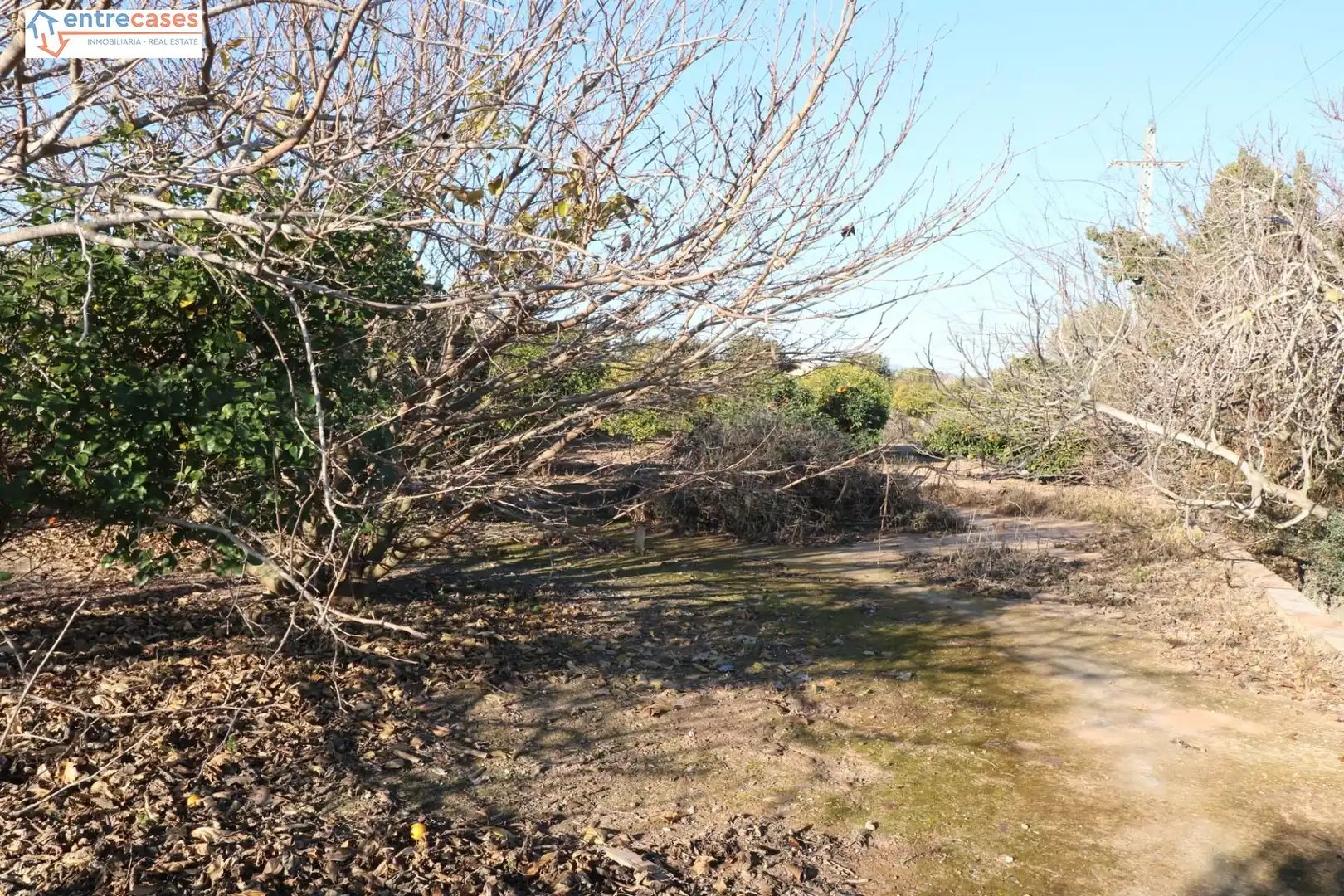 Rural land for sale in Canet d'En Berenguer, imagen 17
