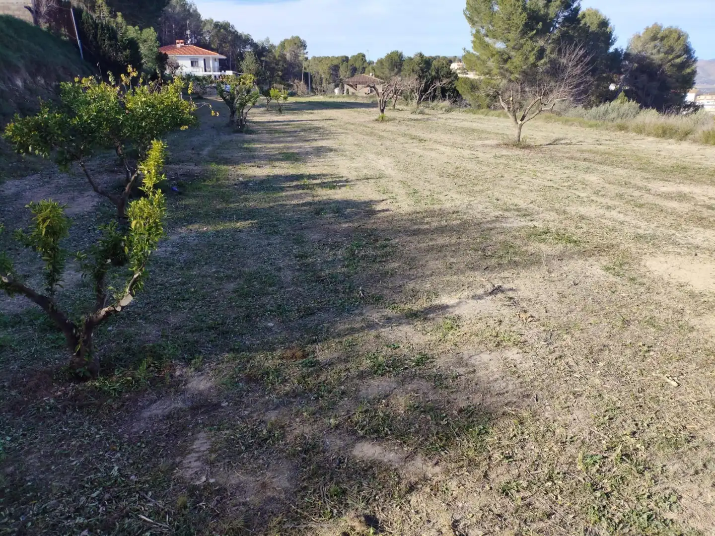 Terreno residenziale in vendita a Agullent, imagen 5