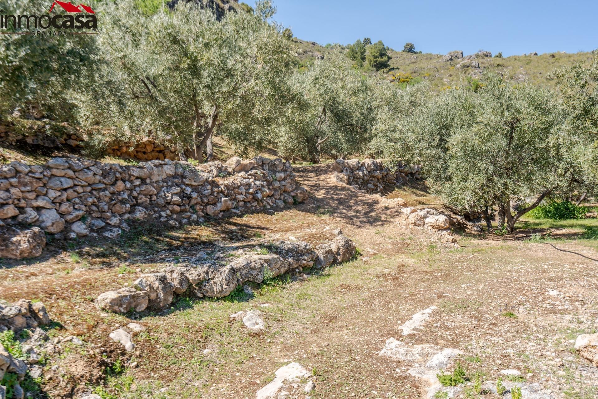 Terreno en venta en Lúcar