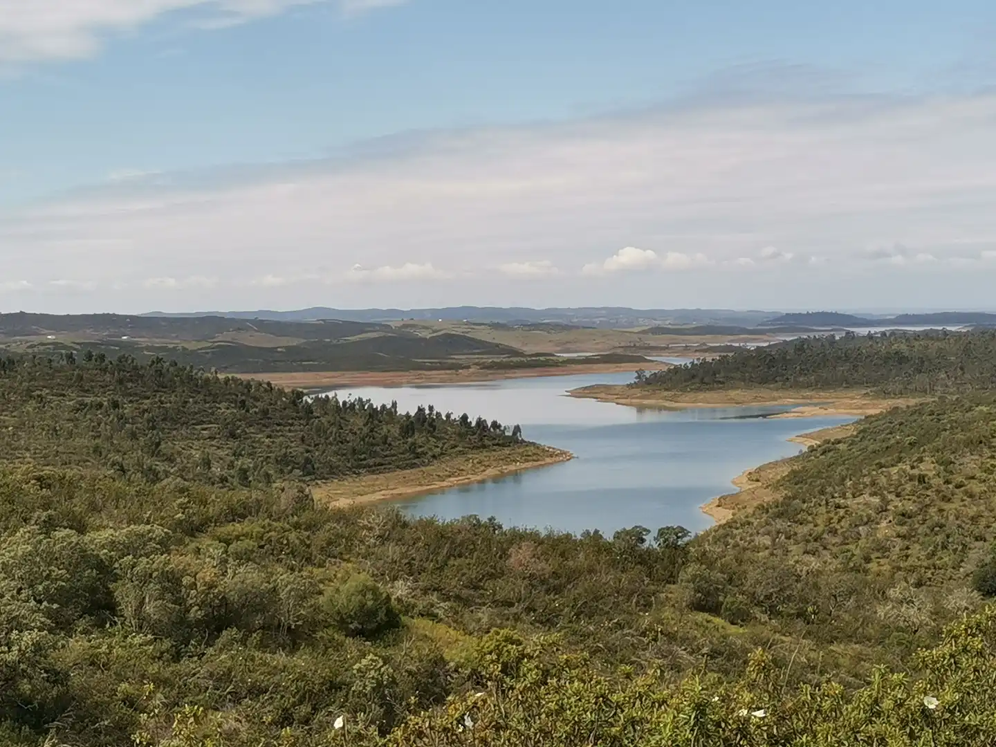 Terreno rústico en venta en Molino de la Vega