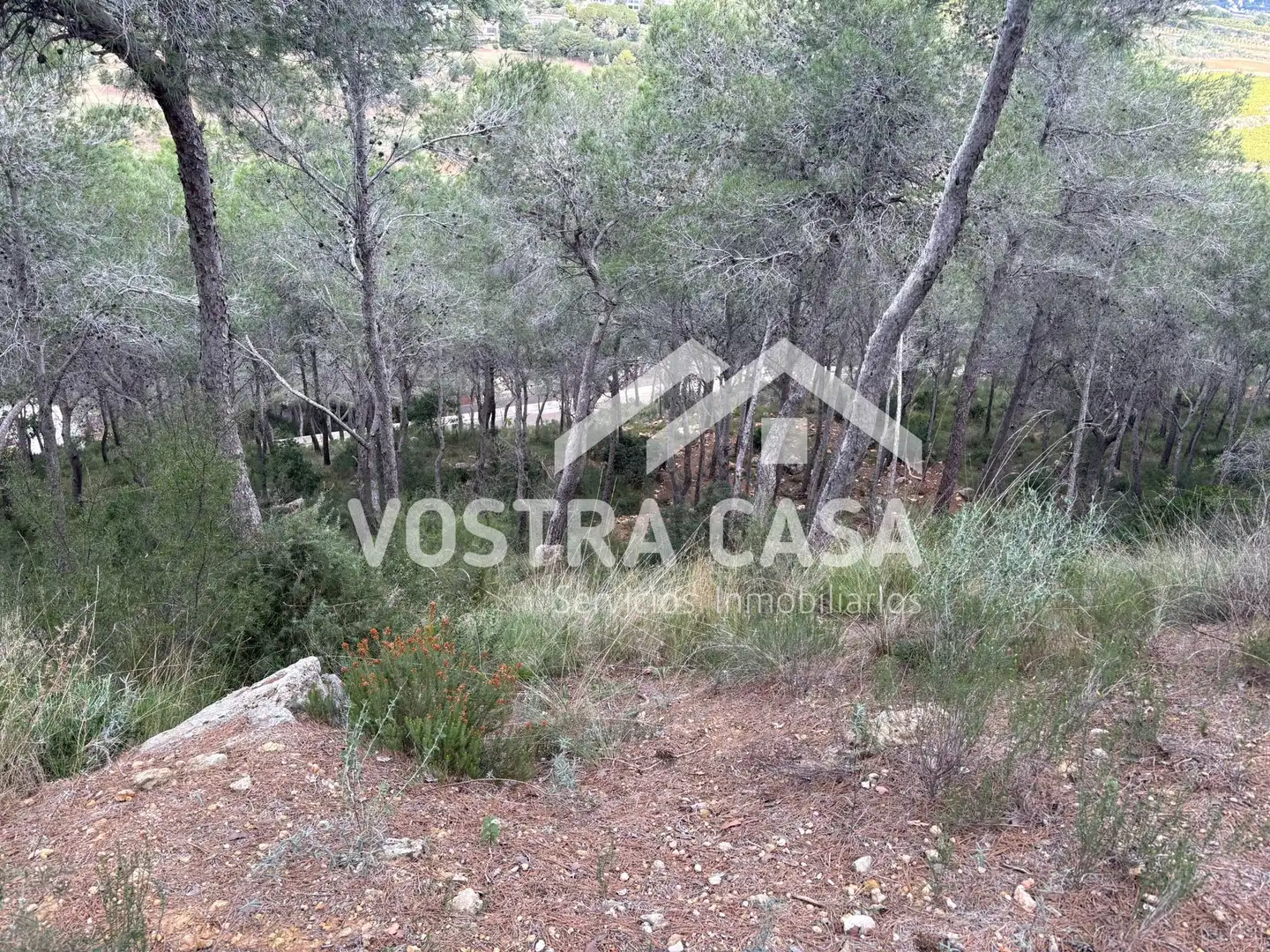 Terreno en venta en Chiva