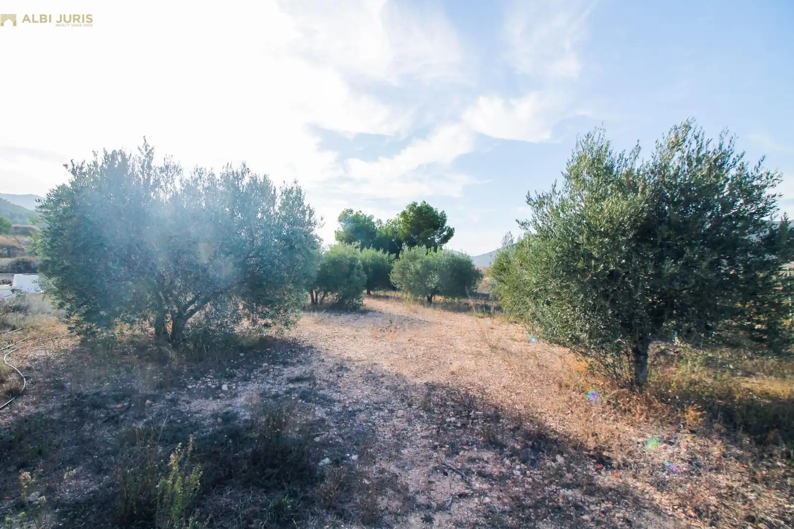 Casa o chalet en venta en La Romana
