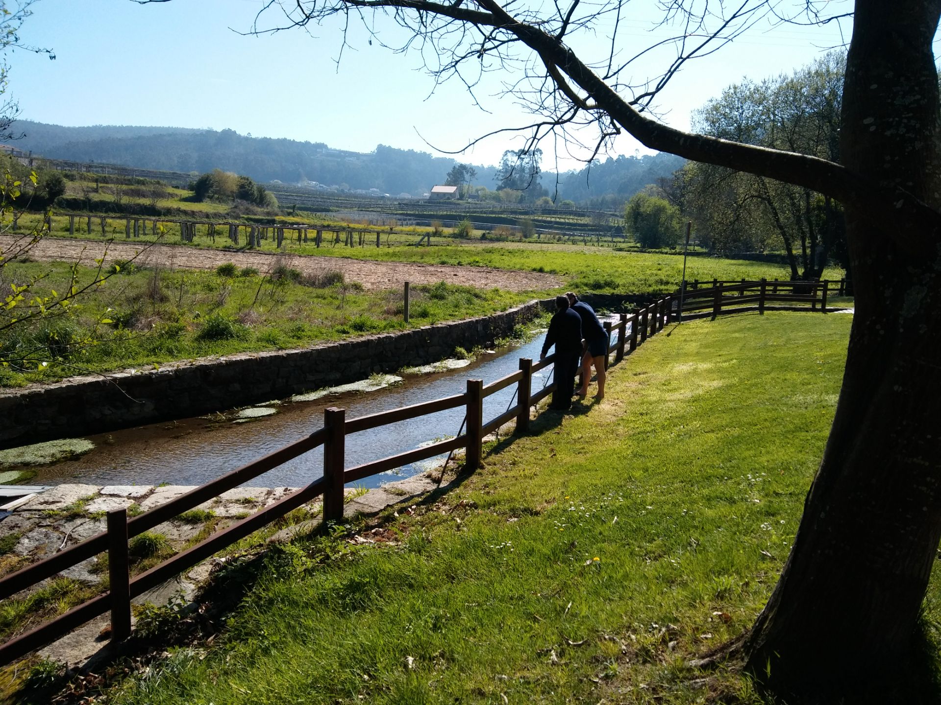 Vista exterior de Casa o xalet de lloguer en Meaño amb Calefacció, Moblat i Forn