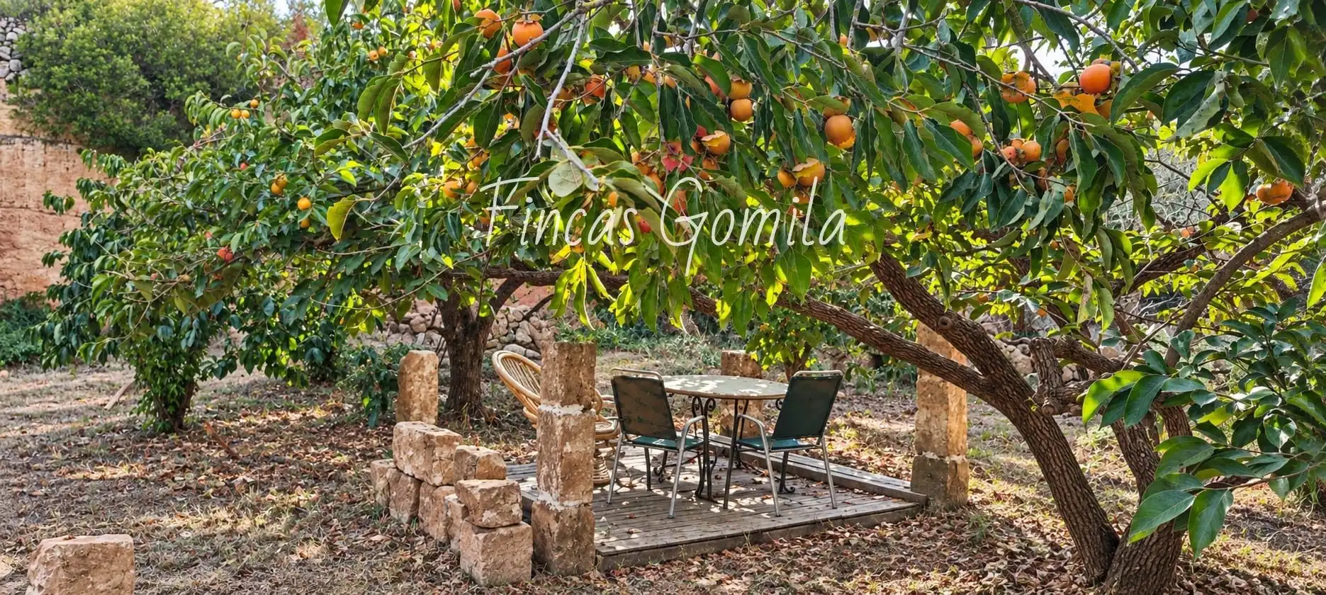 Rural land for sale in me-1, imagen 5