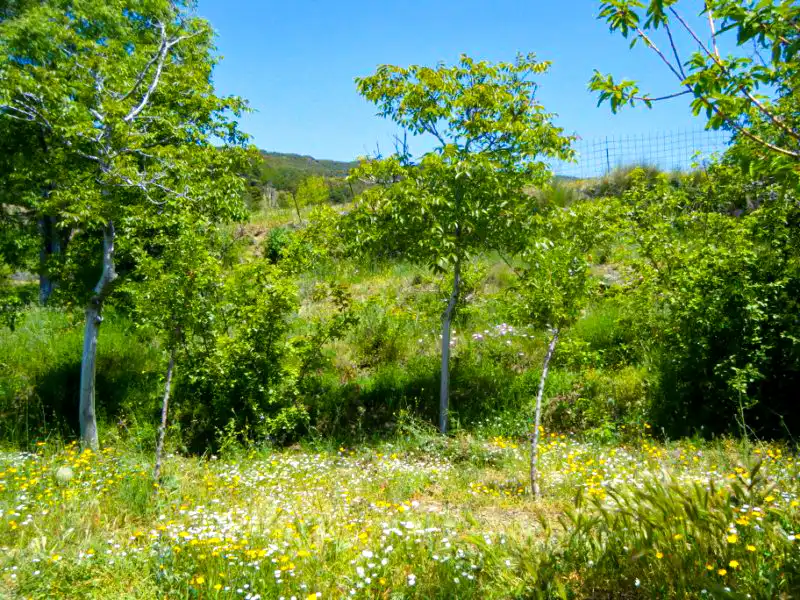 Casa rústica amb jardí en venda a N/A, imagen 66