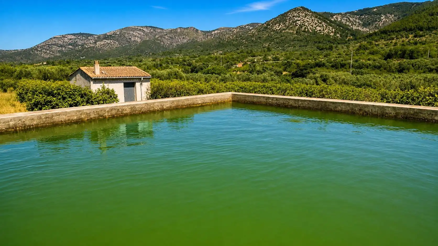 Terreno rústico en venta en Santa Magdalena de Pulpis, imagen 3