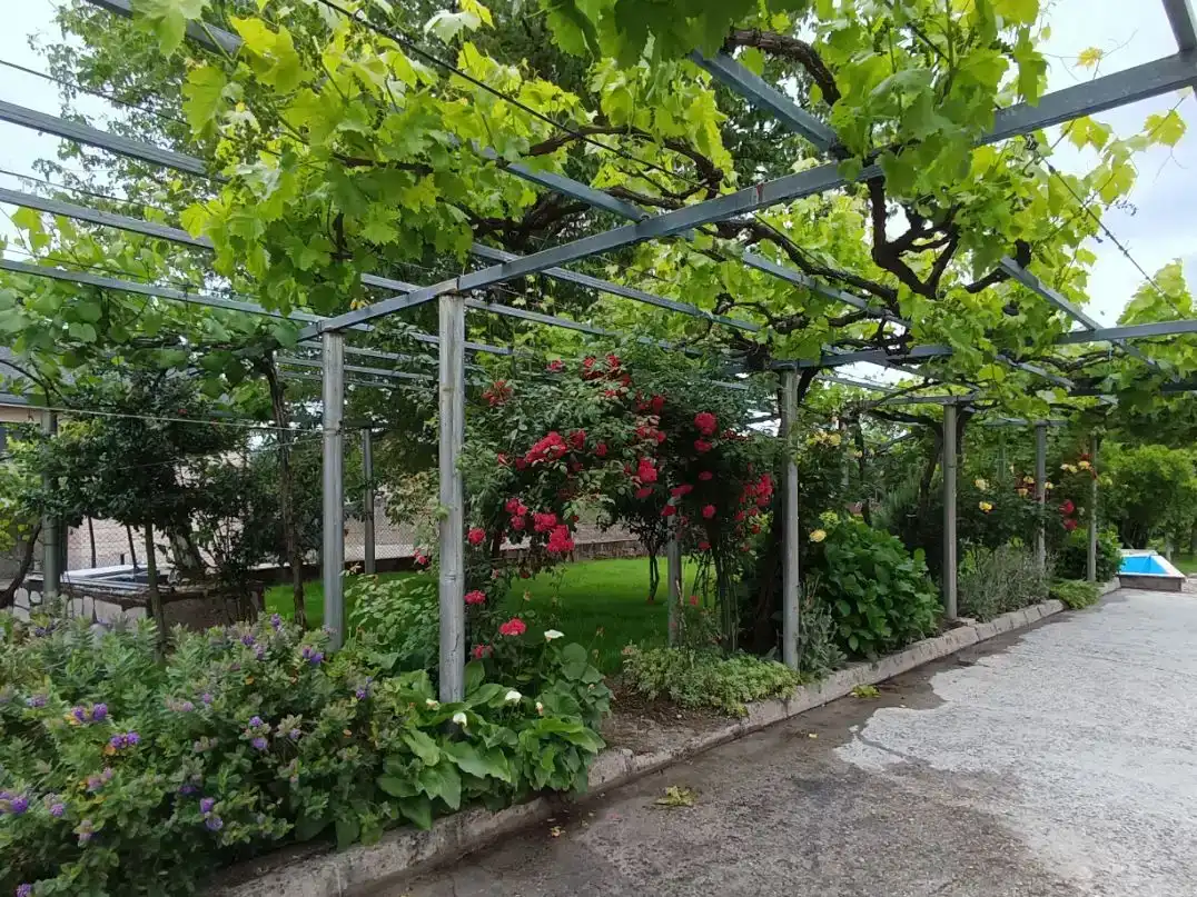Jardí de Casa o xalet en venda en Ourense Capital  amb Piscina