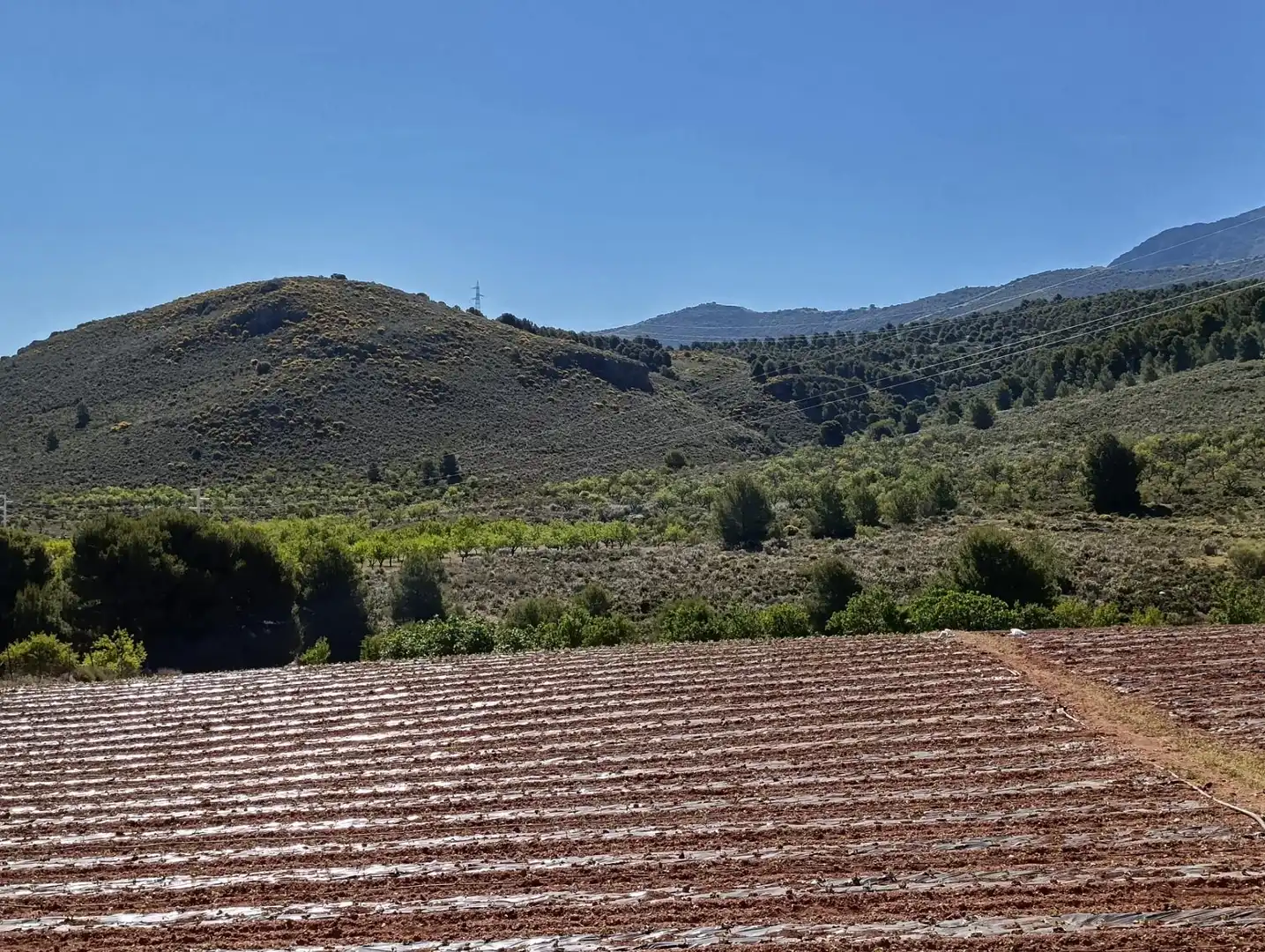 Rural land for sale in Laujar de Andarax, imagen 5
