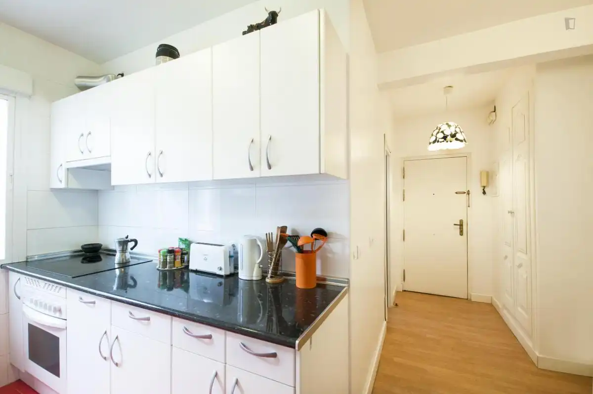 Room in Embajadores - Lavapiés