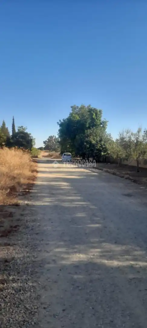 Finca rústica en venta en Aznalcázar