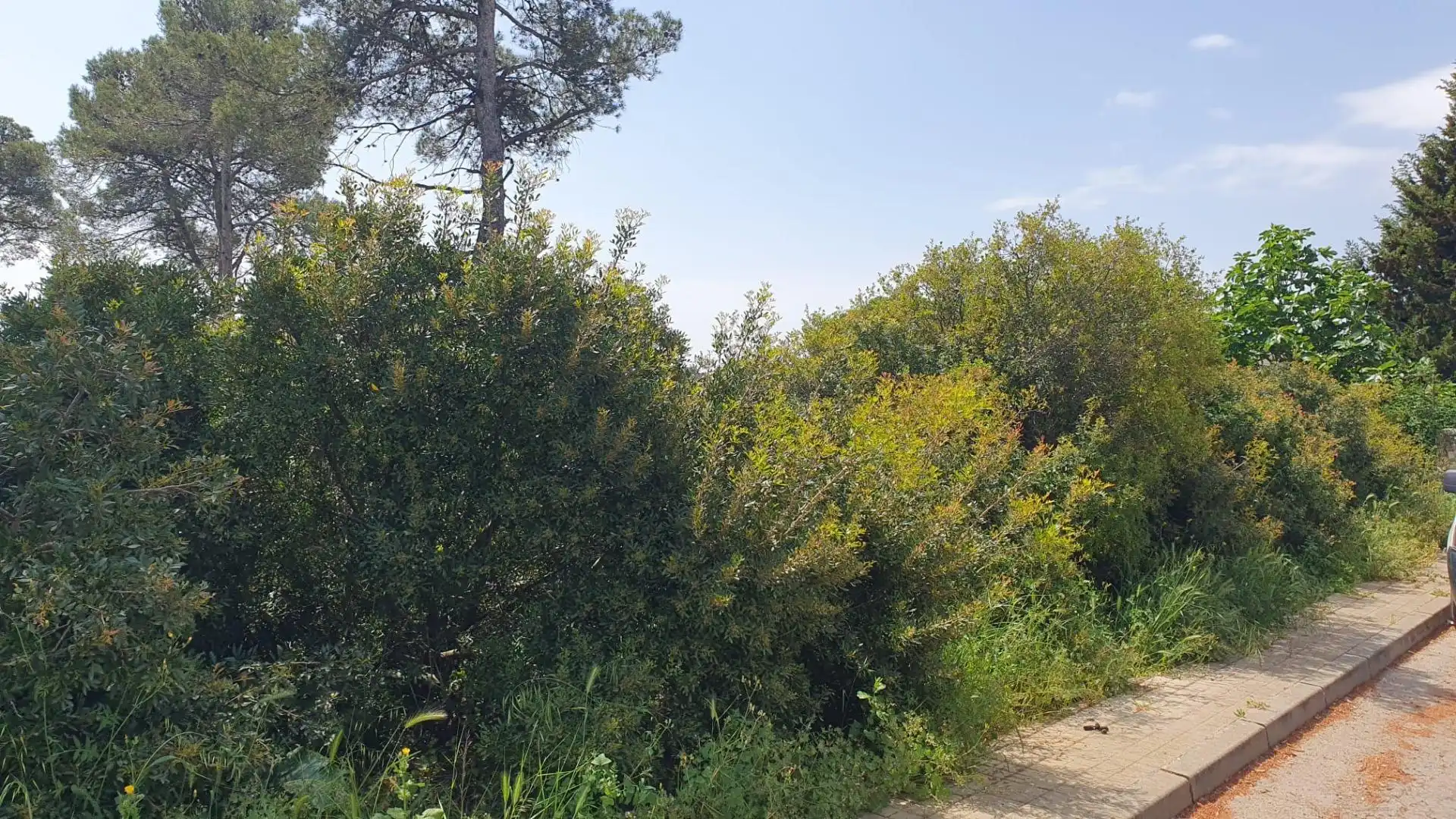 Residencial en venta en La Torre de Claramunt