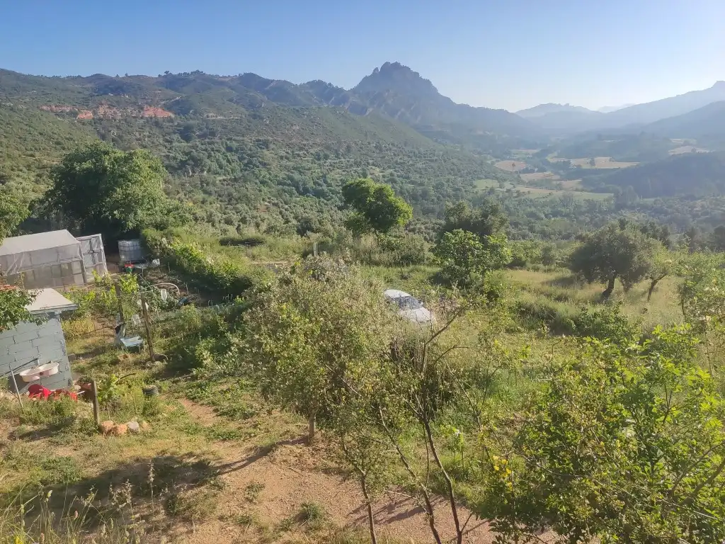 Rural land for sale in Horta de Sant Joan, imagen 10