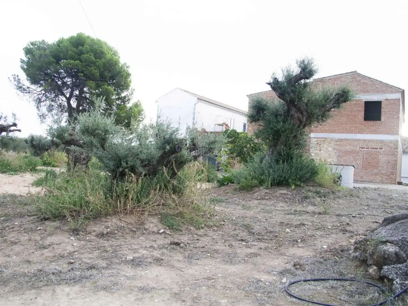 House for sale in Carretera Montilla-Cabra 28, imagen 5