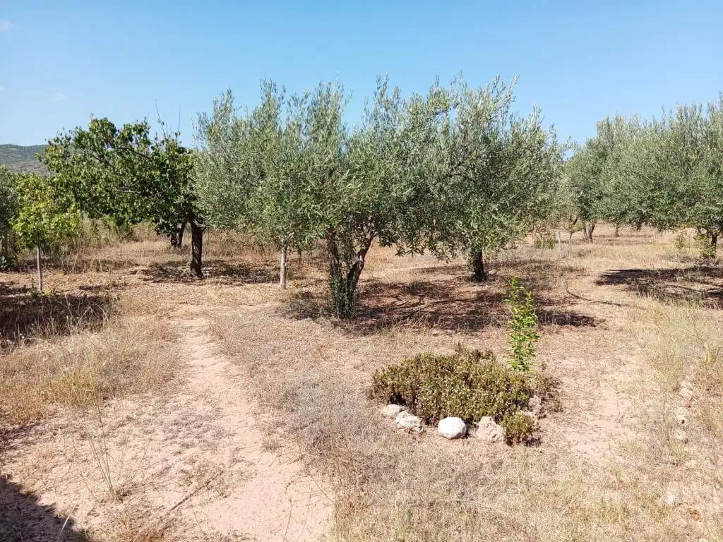 Country house zum Verkauf in Calles mit Privatgarten, Terrasse und Abstellraum