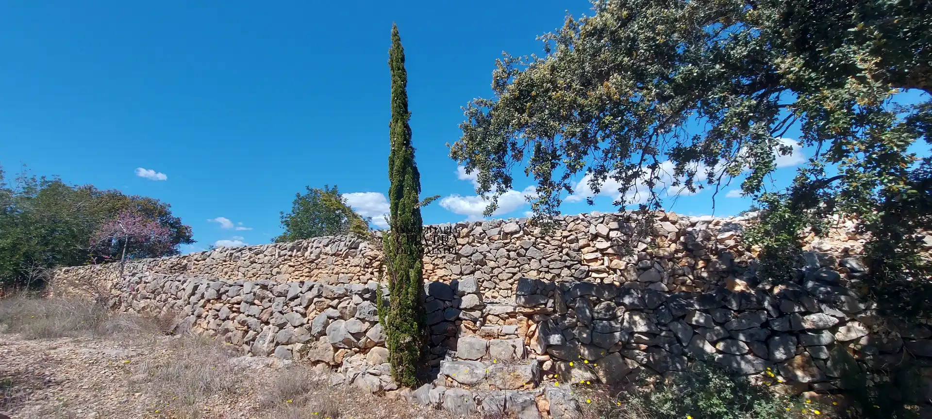 Terreno rustico in vendita a Cervera del Maestre, imagen 15