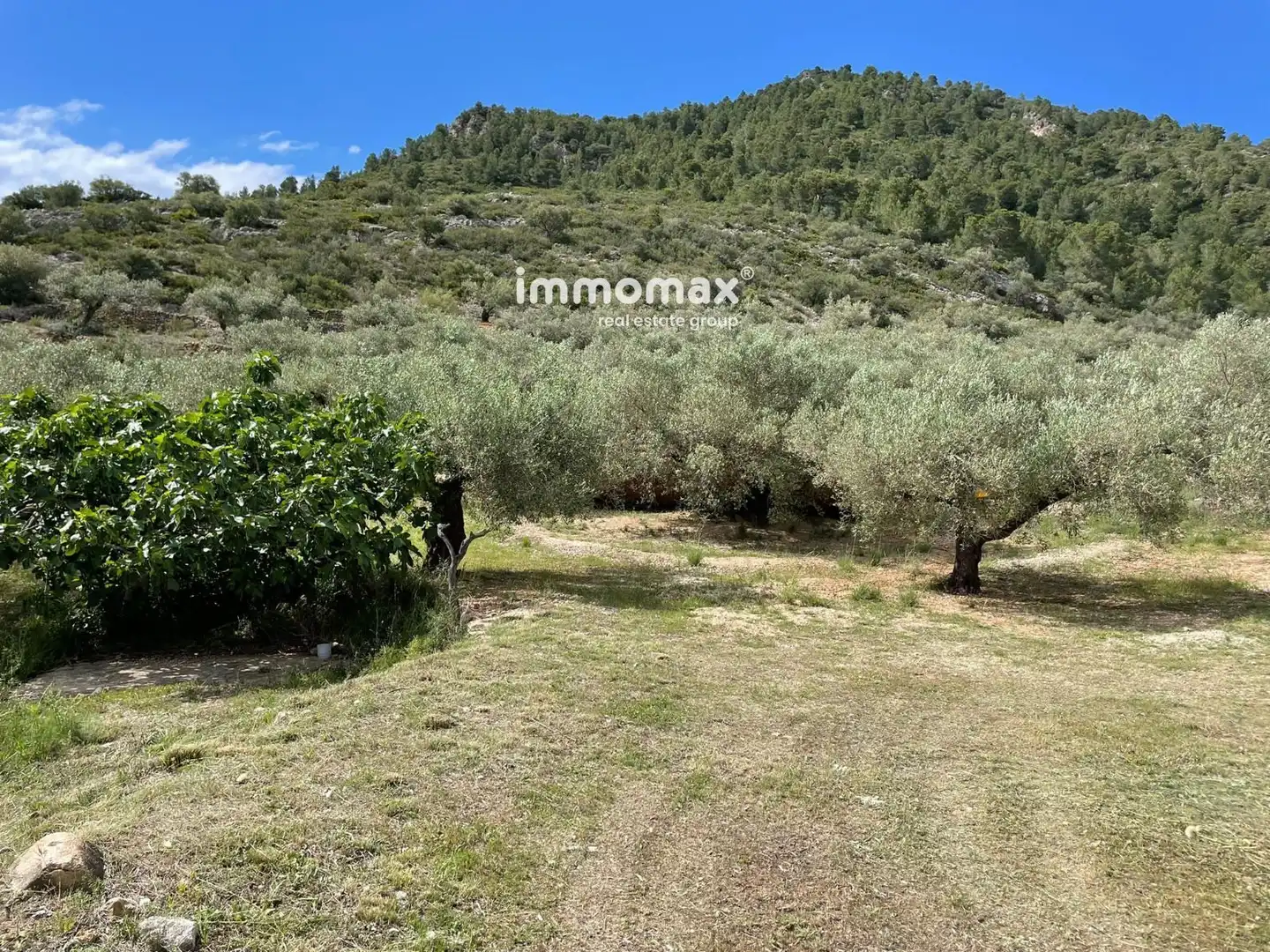 Residential land for sale in 3, imagen 23