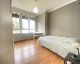 Apartment to share in San Pedro de Deusto - La Ribera
