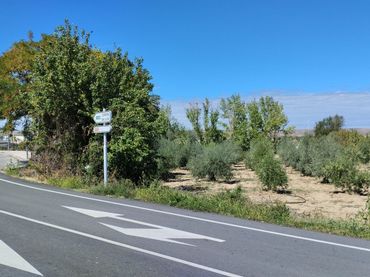 Terreno rustico in vendita a El Redal