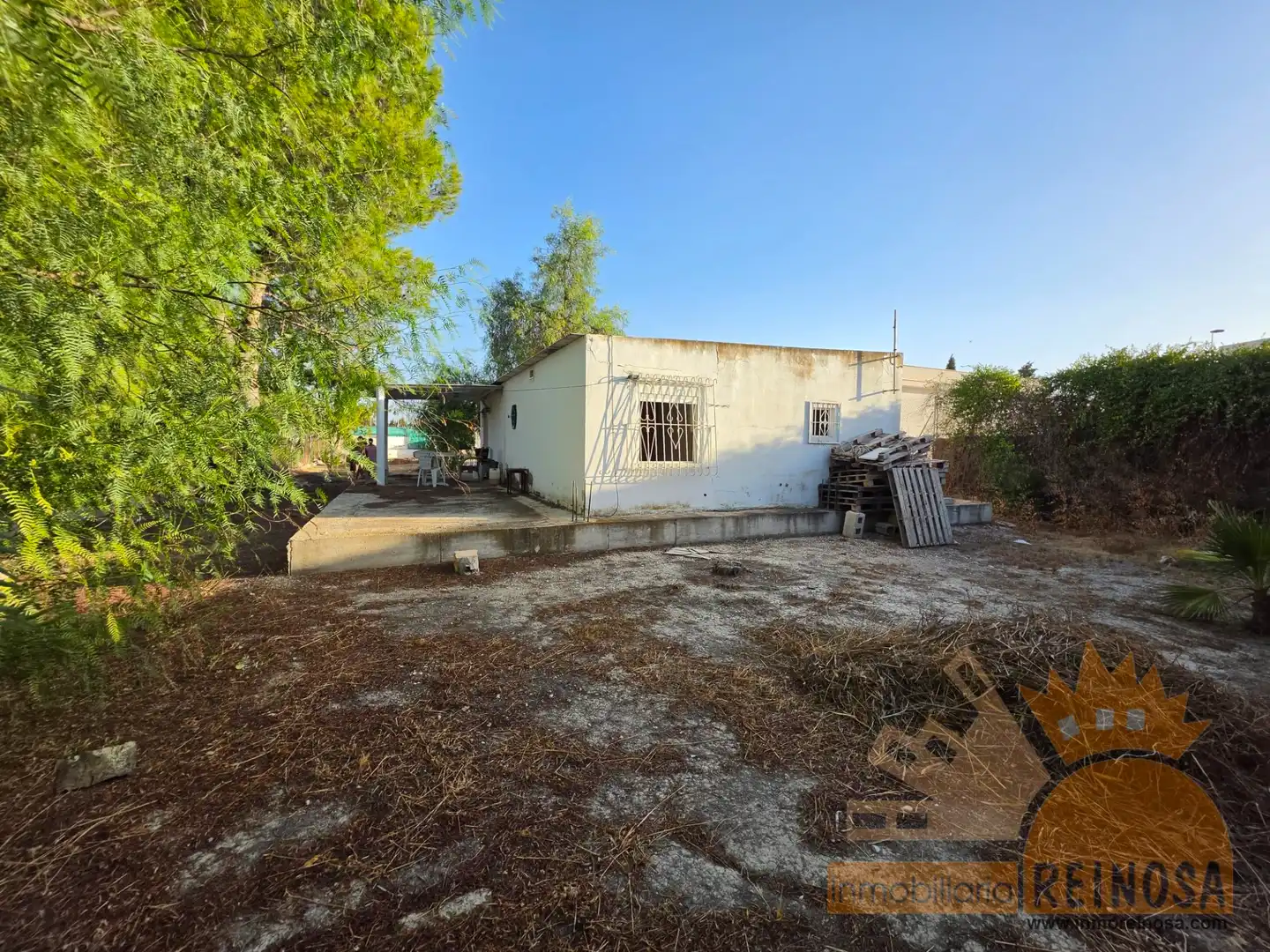 Vista exterior de Finca rústica en venta en Molina de Segura