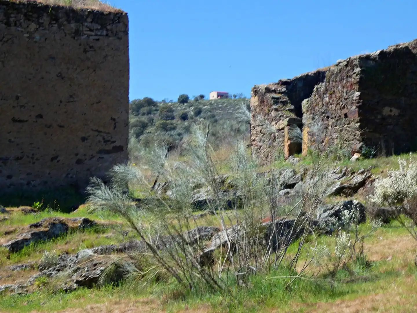 Jardí de Terreny en venda en Gallegos de Argañán