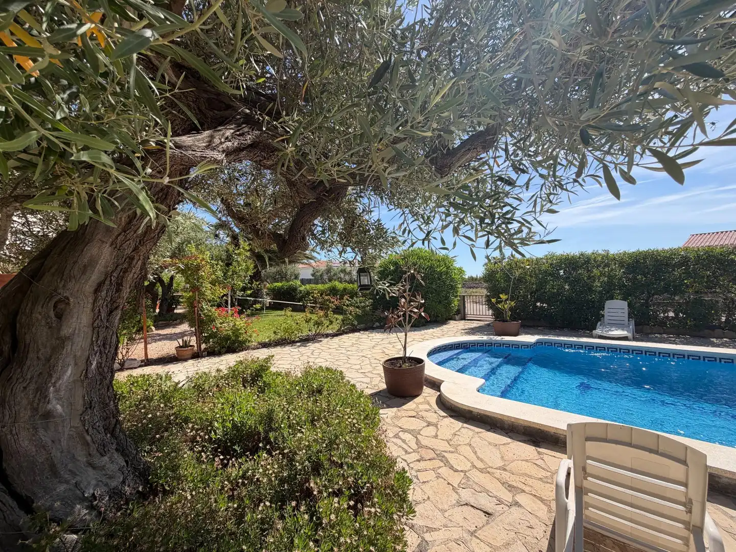 Maison avec piscine à vendre à Roques Daurades - L'Estany, imagen 68