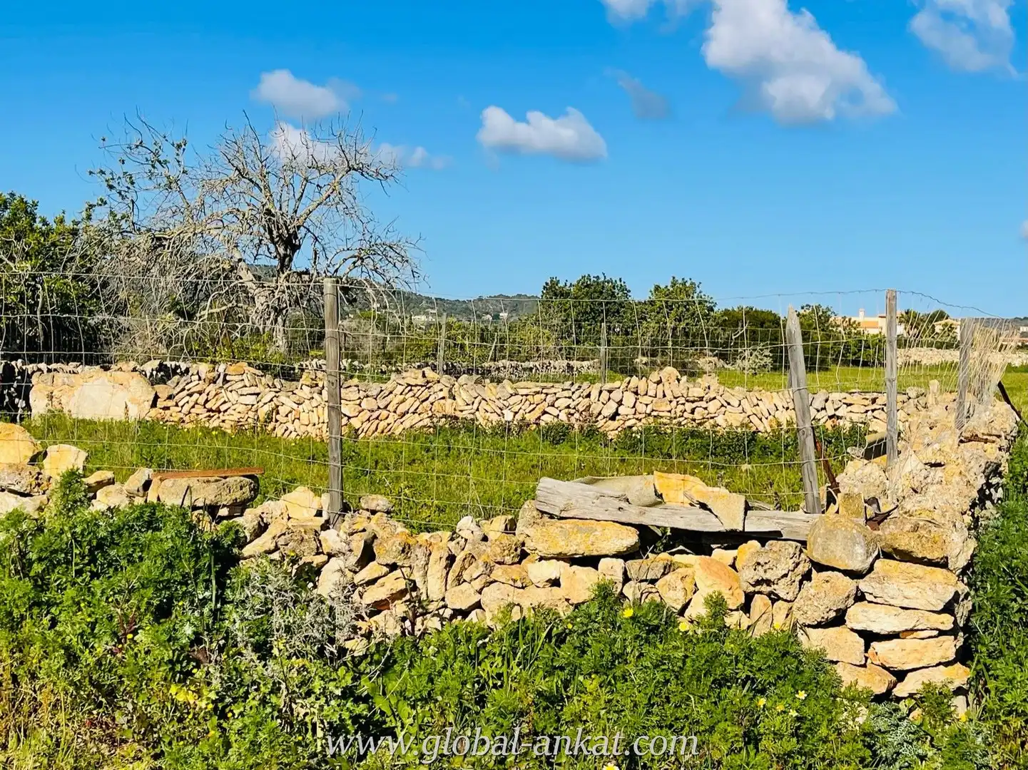Finca rústica en venta en Manacor