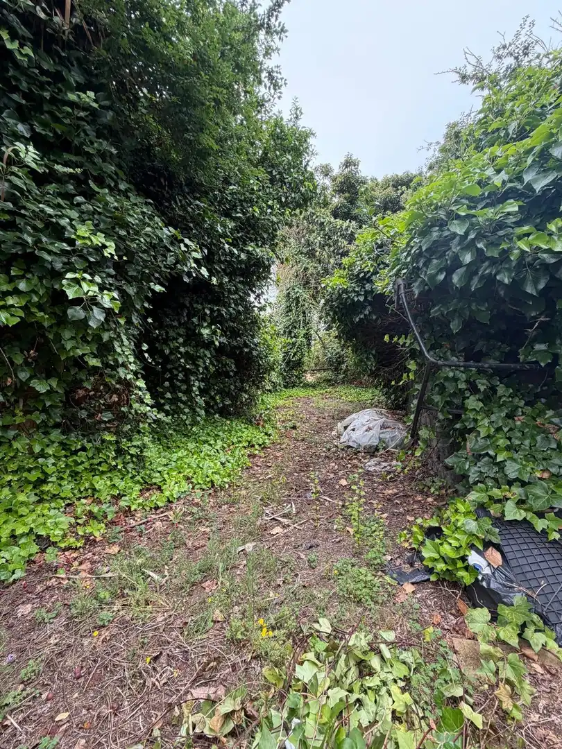 Terreno rustico in vendita a El Bebedero - Pinolere - Aguamansa, imagen 30