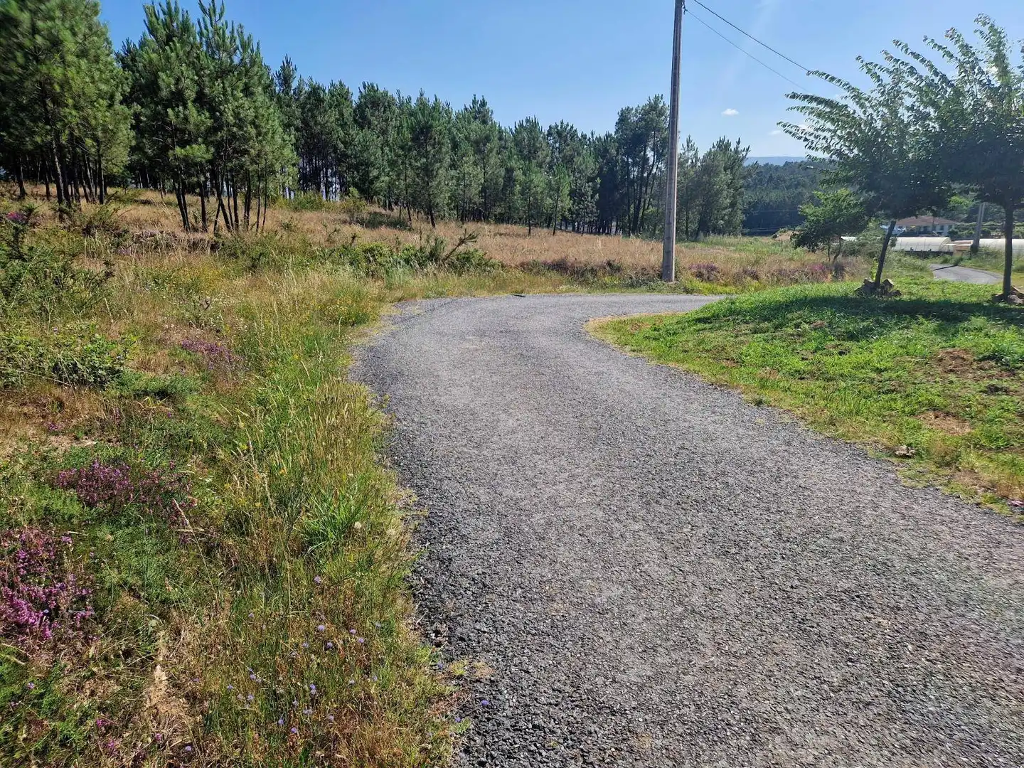 Lands and plots for sale in Brión, imagen 10