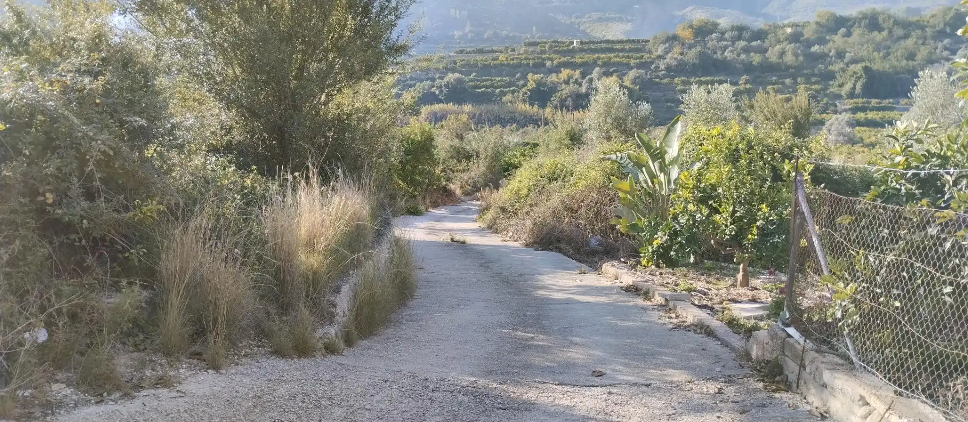 Terreny rústic en venda a L'Atzúbia, imagen 2