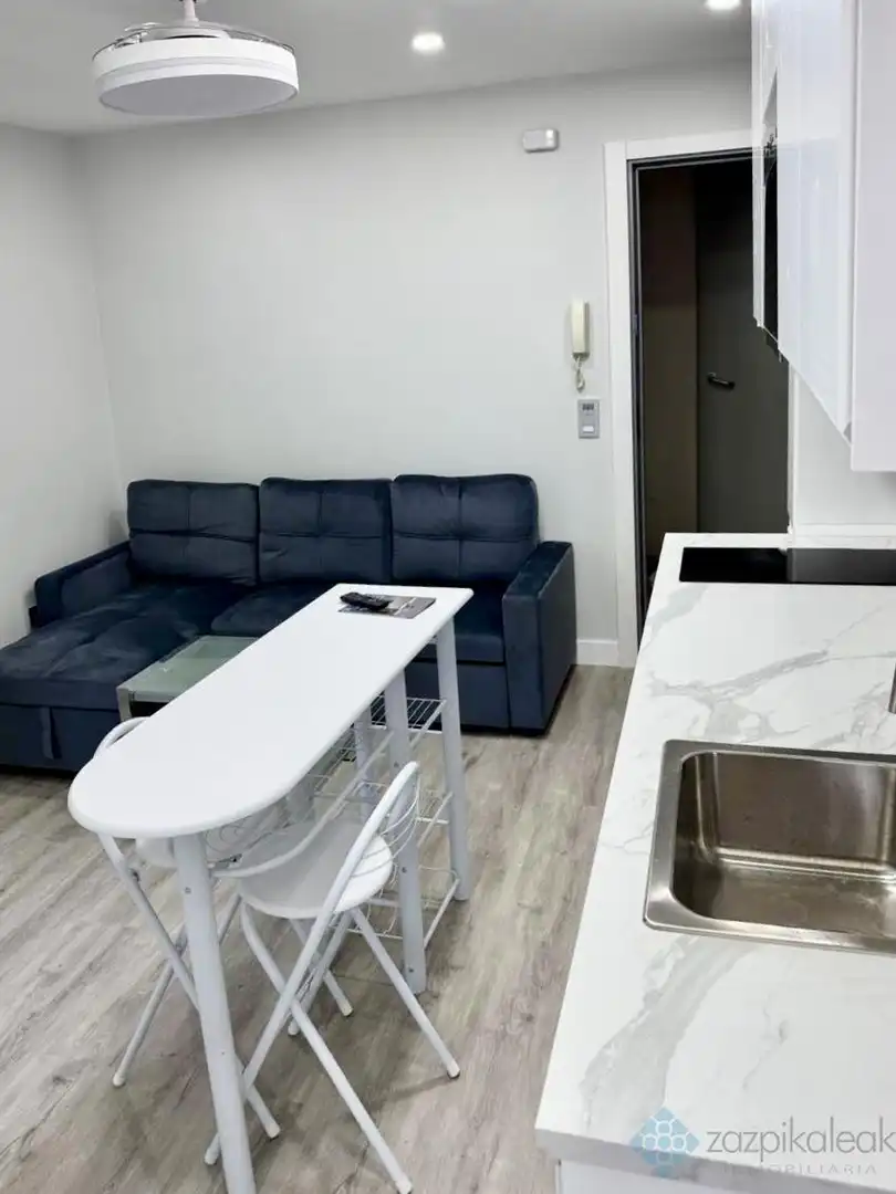 Kitchen of Apartments for rent in Errekalde