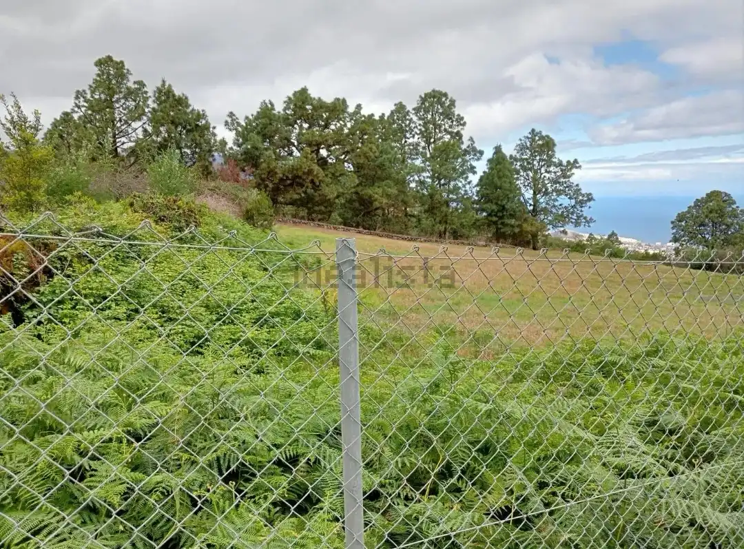 Grundstücke zum Verkauf in La Orotava