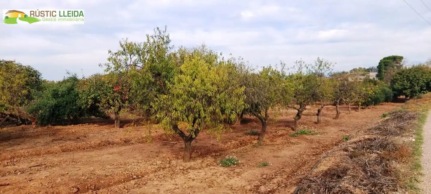 Terreny rústic en venda a Juneda, imagen 10