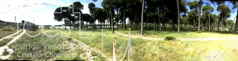 Finca rústica en venda en Almonte amb Terrassa i Moblat