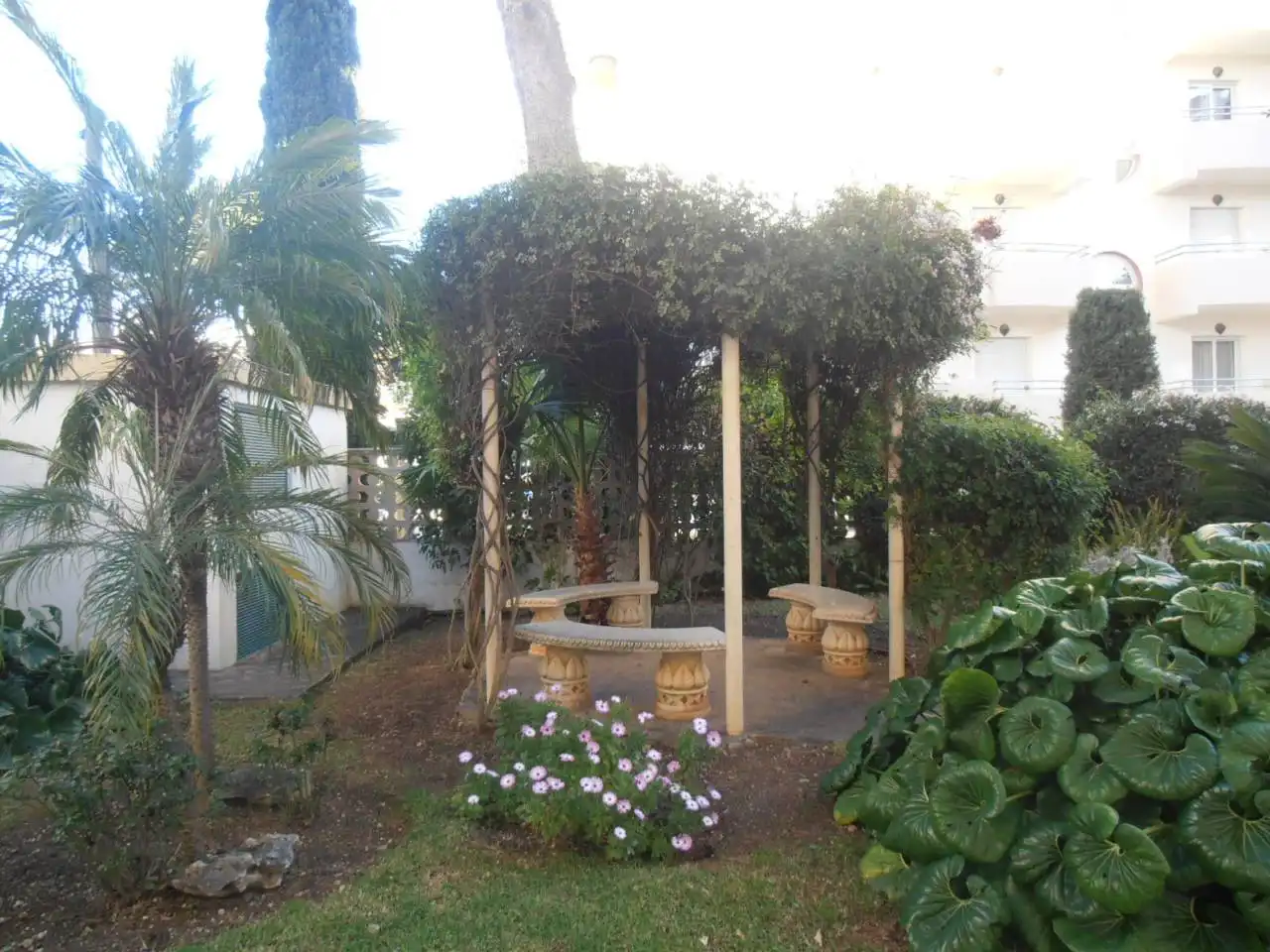 Jardí de Apartament en venda en Benalmádena amb Terrassa, Moblat i Balcó