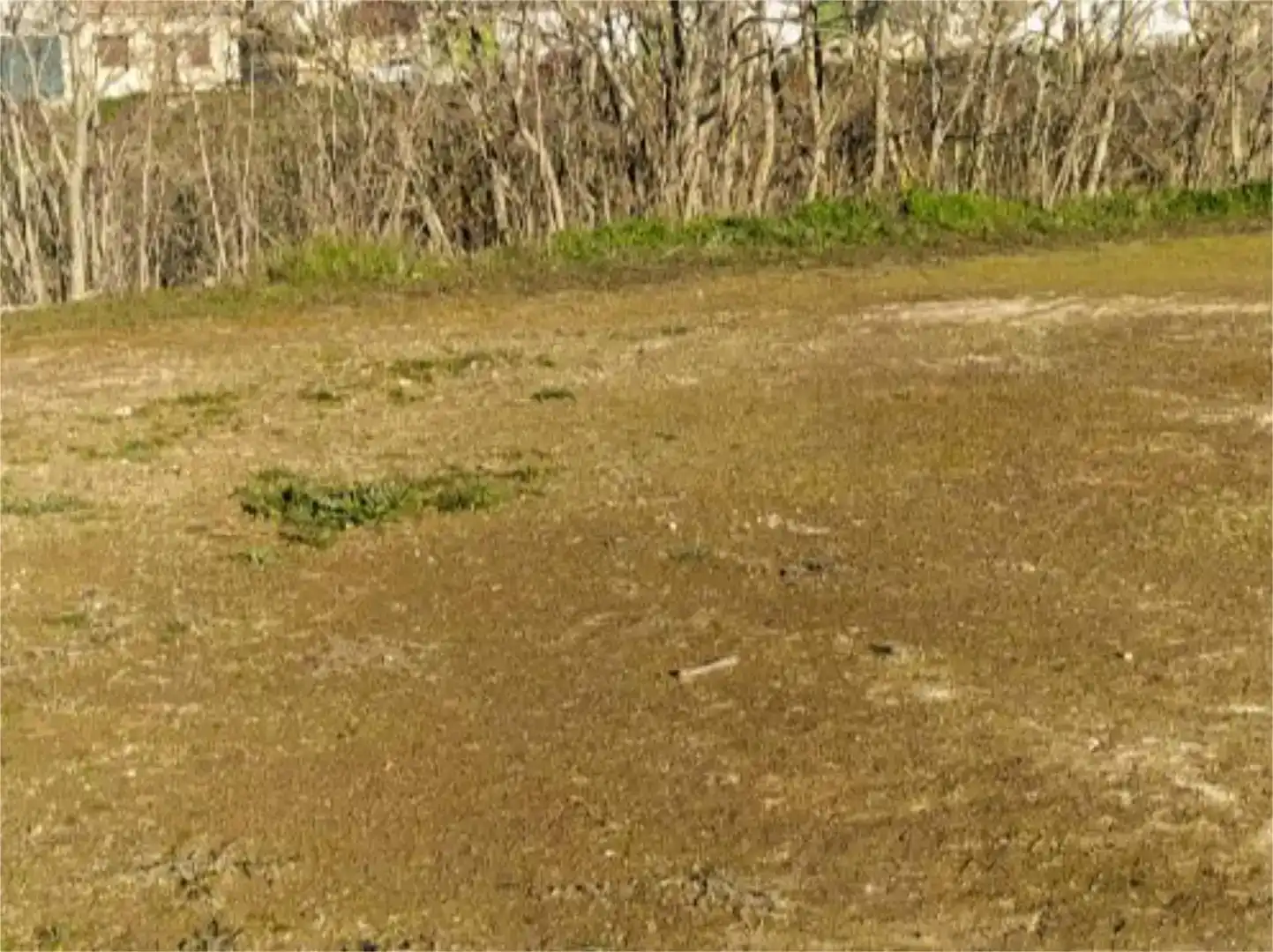Land for sale in Driebes, Guadalajara