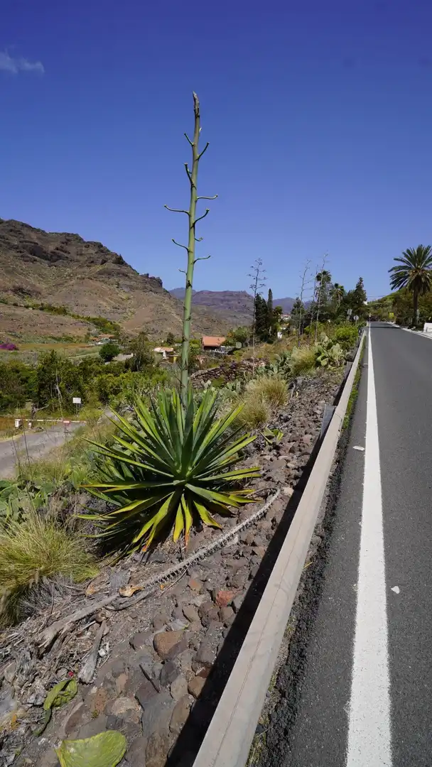Vista exterior de Casa o chalet en venta en Mogán con Jardín privado, Terraza y Trastero