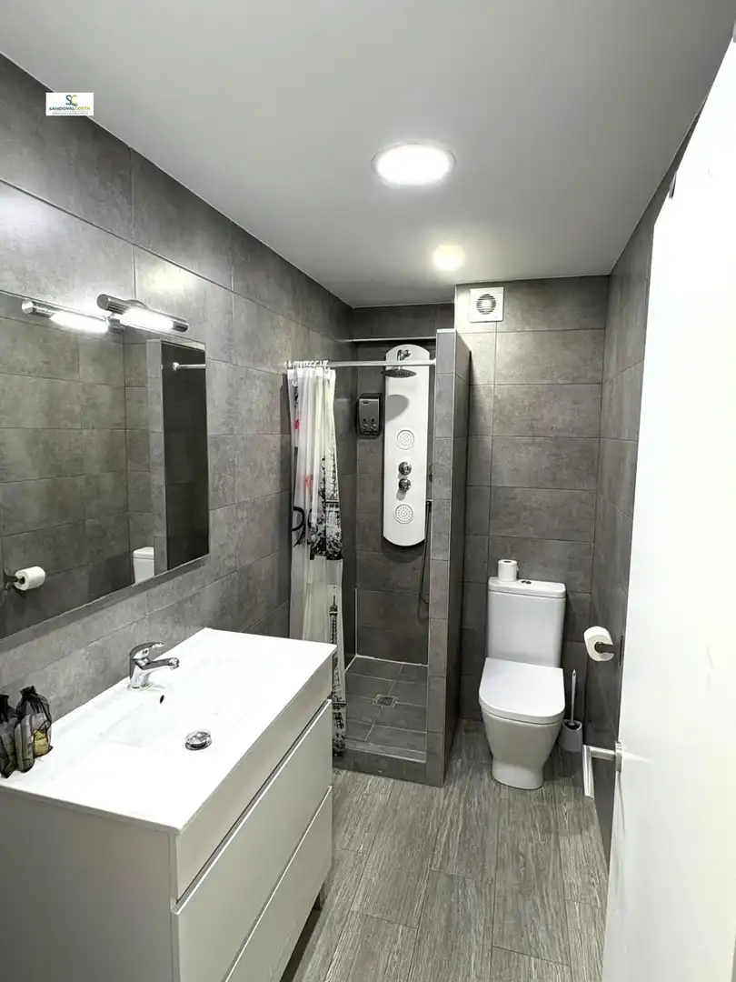 Bathroom of Study for rent in Alicante / Alacant  with Air Conditioner, Furnished and Community pool