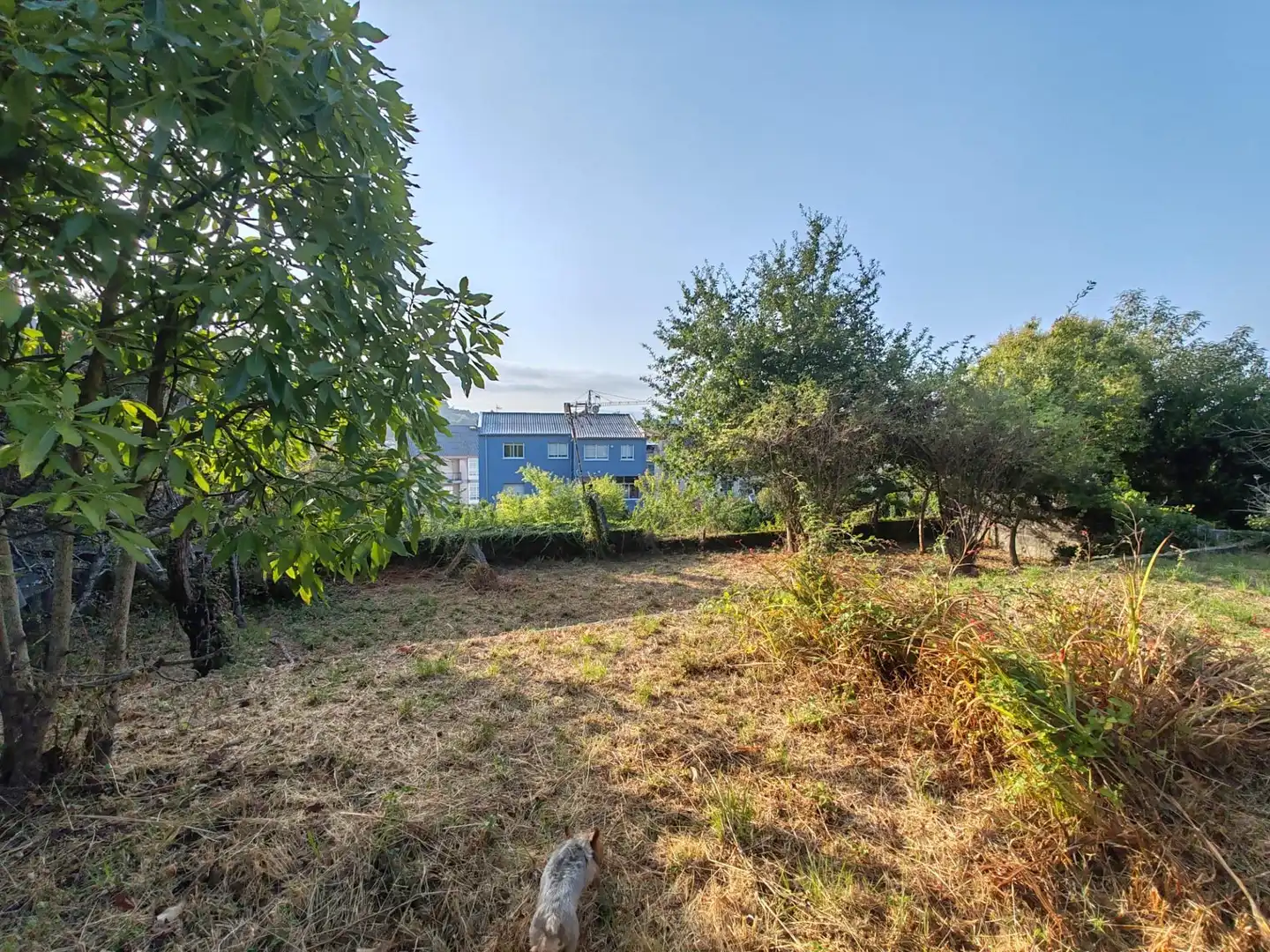 Edificio en venta en Boiro
