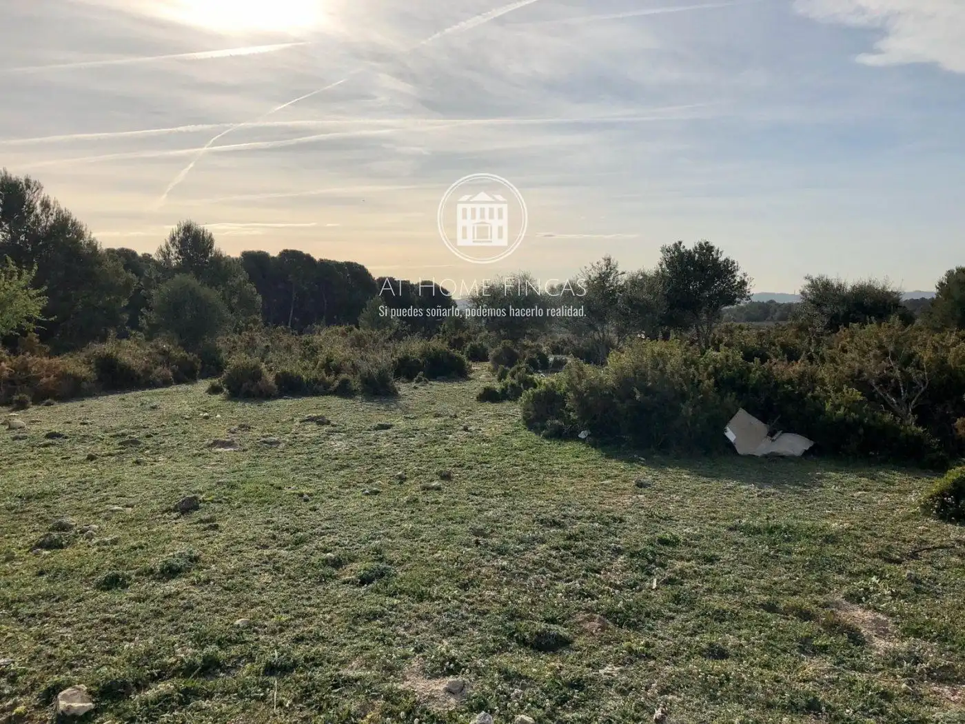 Terreno rustico in vendita a Gregal del, imagen 7