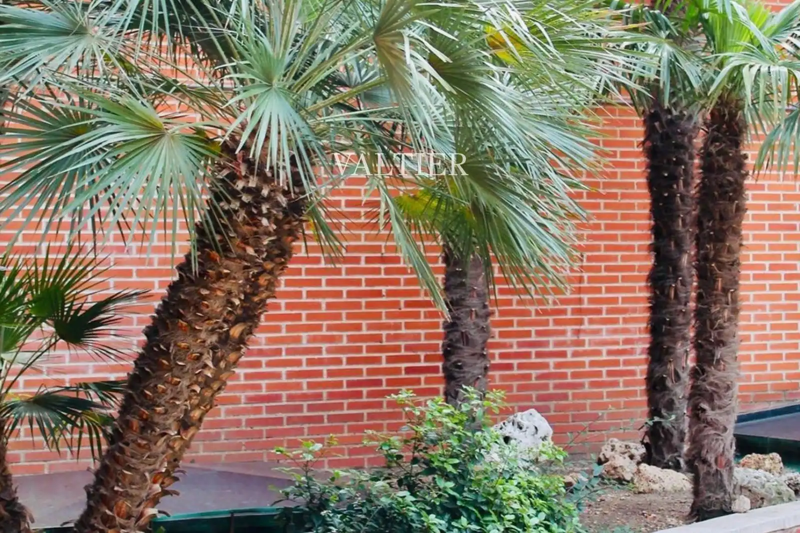 Exterior view of Flat for rent in Madrid  with Air Conditioner