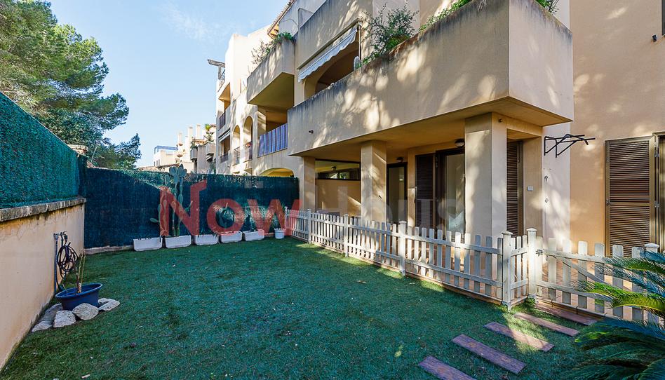 Foto 1 de Planta baja en venta en Carrer del Tord, Maioris-Puig de Ros, Illes Balears