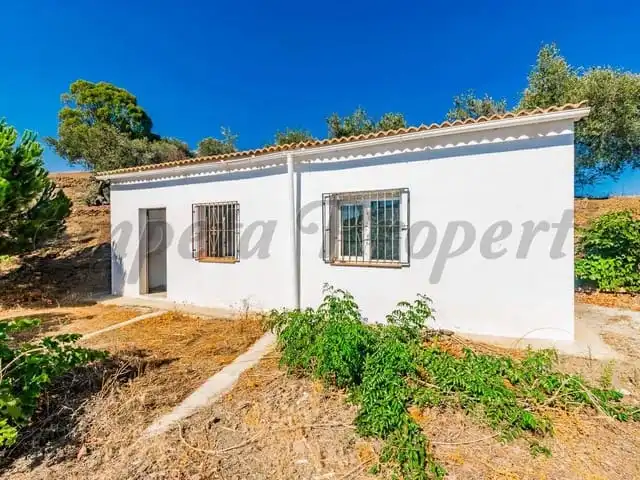 Apartament en venda a Arenas