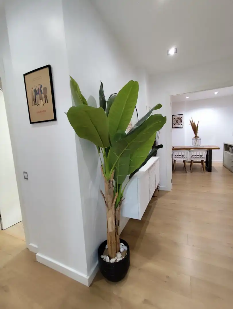 Piso en venta en Concòrdia - Can Rull